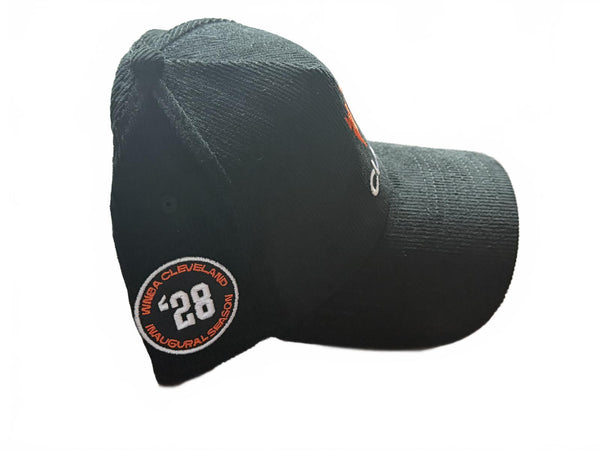 CLEVELAND SIRENS Adjustable Snap Back Hat NEW WNBA Rockers