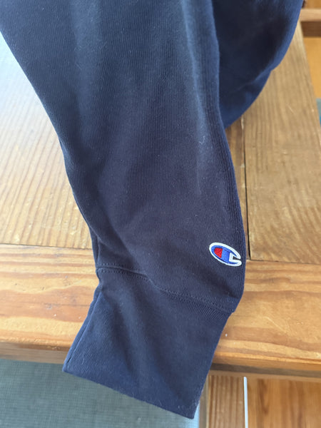 Champion Reverse Weave Georgia Southern Hoodie Large Navy Blue