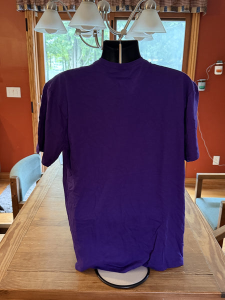 CHARLOTTE HORNETS Fanatics Purple Graphic T-Shirt Size Large